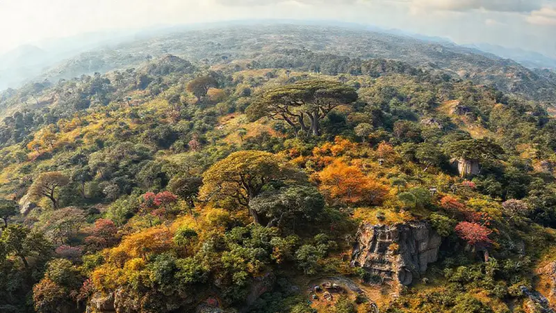 Tierra: paisajes diversos y ecosistemas vibrantes