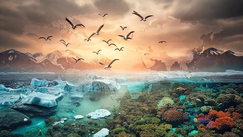 Aves migratorias en un paisaje cambiante