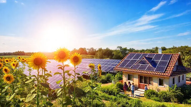 Granja solar vibrante en armonía con la naturaleza