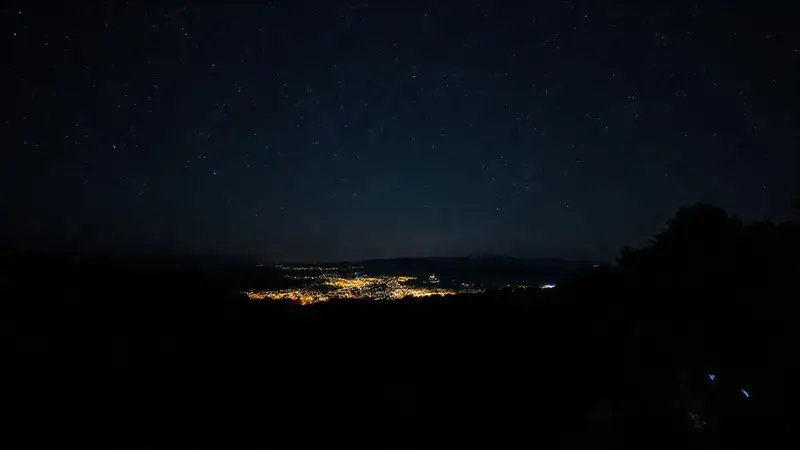 Cielo estrellado y fauna nocturna iluminada