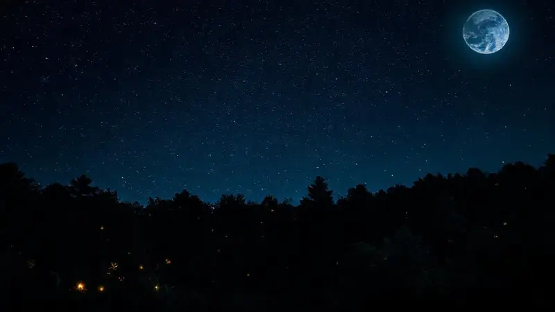 Cielo estrellado ilumina un bosque sereno