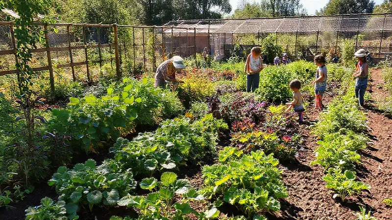Jardín comunitario vibrante con cultivo sostenible