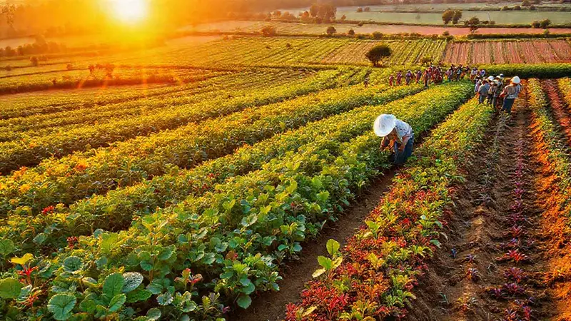 Campo vibrante con agricultores y cultivos sanos