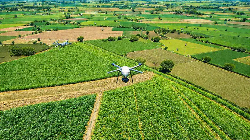 Drones supervisan campos agrícolas en un día soleado