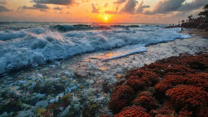 Contaminación marina en un paisaje hermoso