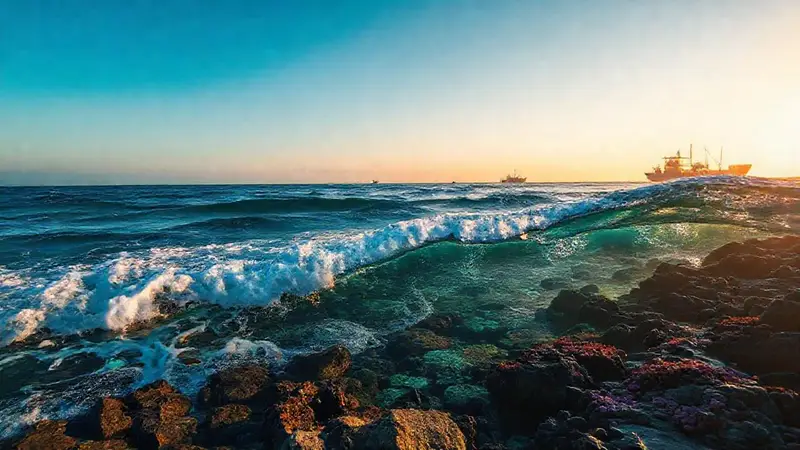 Naturaleza y sostenibilidad en armonía marítima