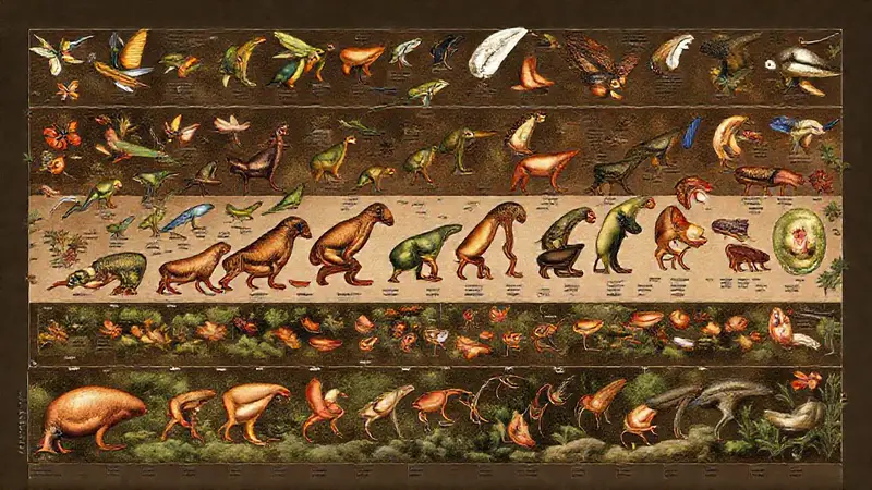 Especies embrionarias interconectadas en hábitats naturales