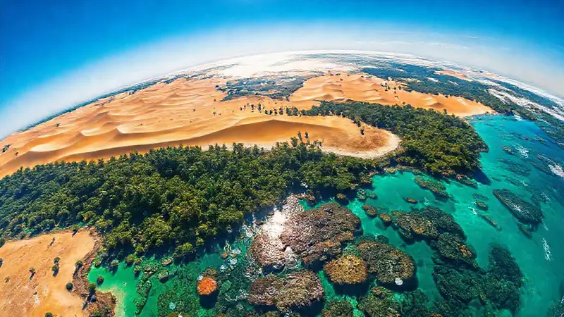 Ecosistemas vibrantes y diversos de la Tierra