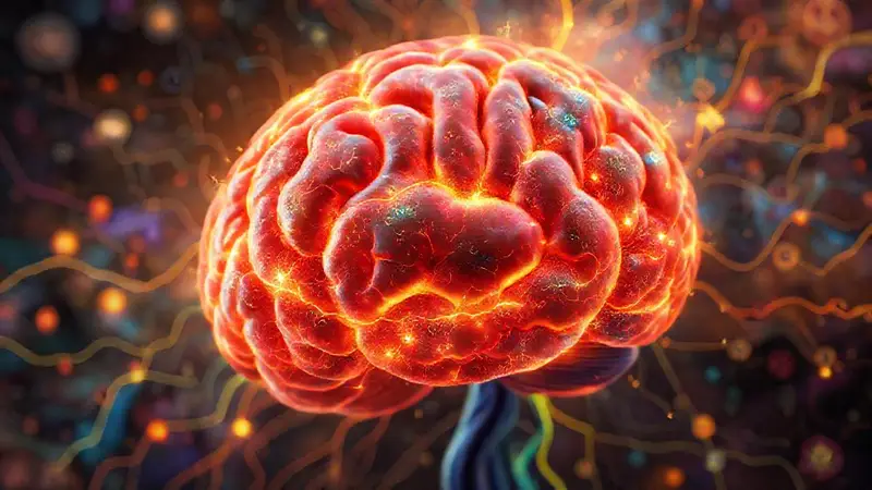 Cerebro vibrante simboliza hábitos y cambios
