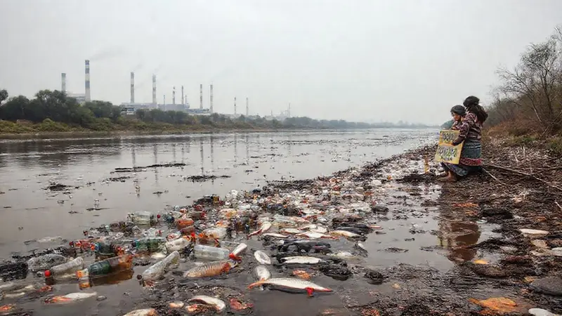 Río contaminado con plástico y peces muertos