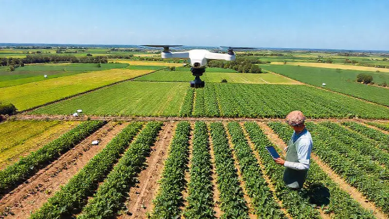 Drones y tecnología modernizan la agricultura sostenible