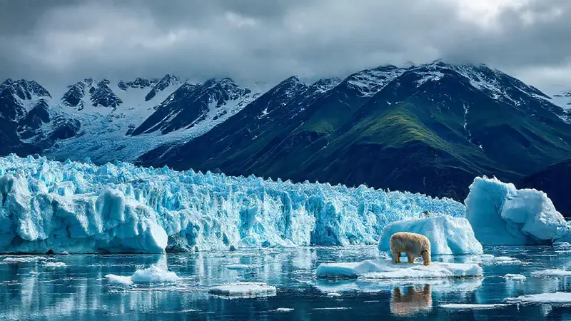 Glaciares derritiéndose: un urgente llamado climático
