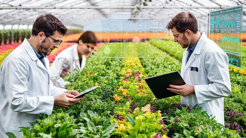 Innovación agrícola mediante tecnología y colaboración científica