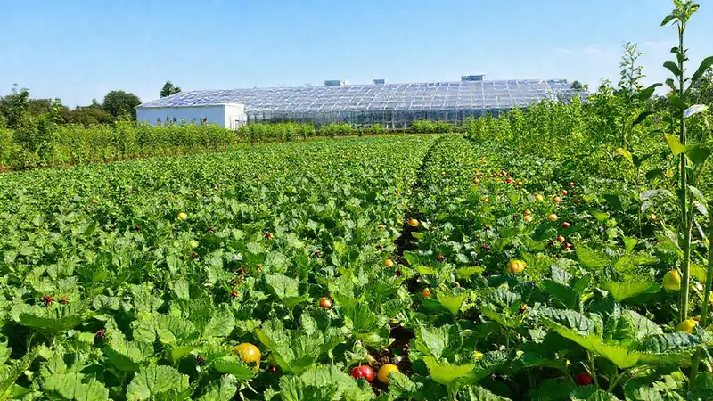 Agricultura sostenible con diversidad y tecnología avanzada