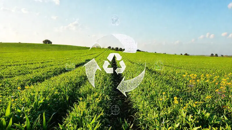 Economía circular y agricultura sostenible en armonía