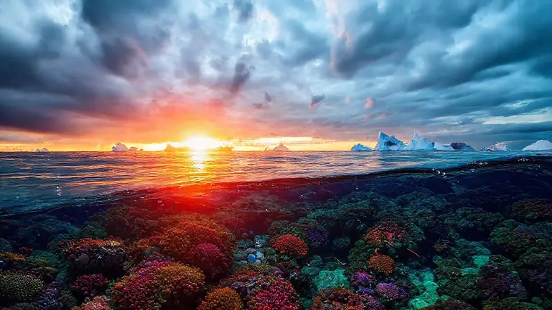 Océano vibrante enfrenta crisis climática y esperanza