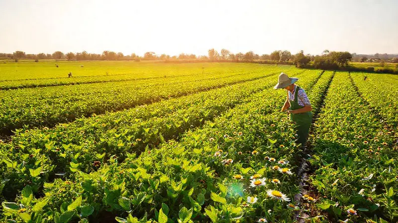 Agricultura sostenible con biodiversidad y tecnología