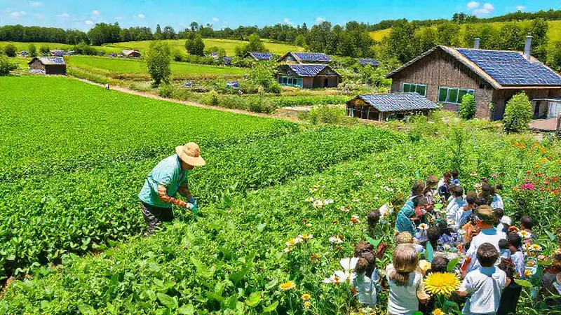 Agricultores practican sostenibilidad en un entorno vibrante