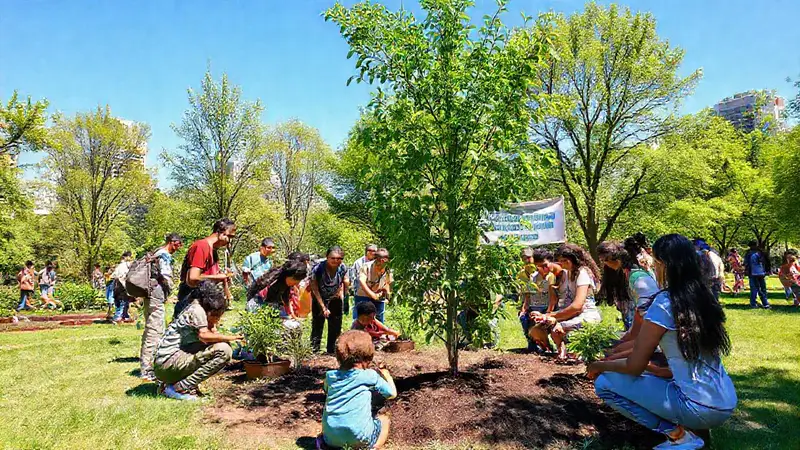 Comunidad diversa planta árboles en armonía