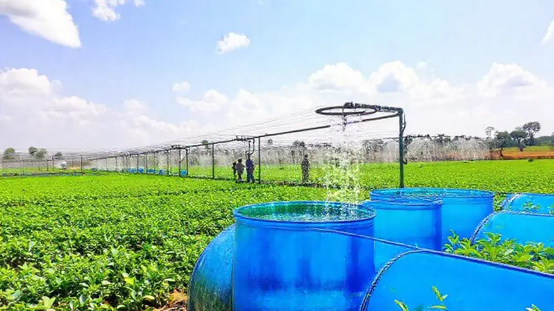 Sistemas de captación de agua y agricultura sostenible