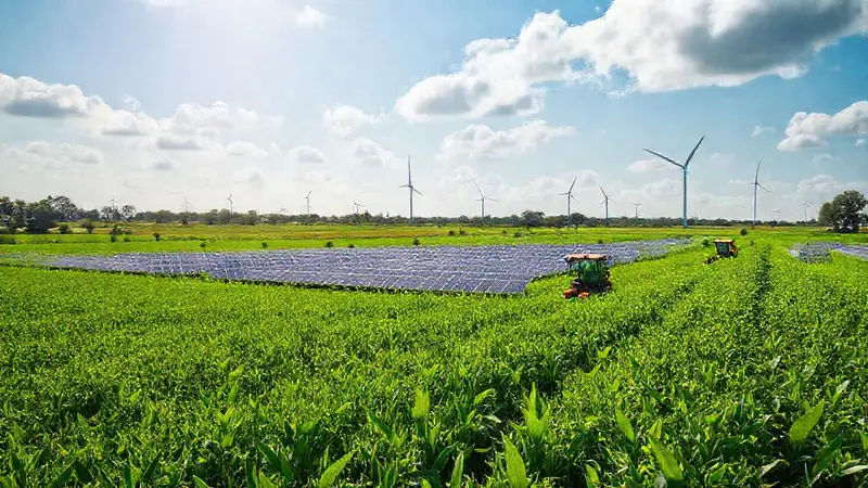 Campo verde con energía renovable y cultivos