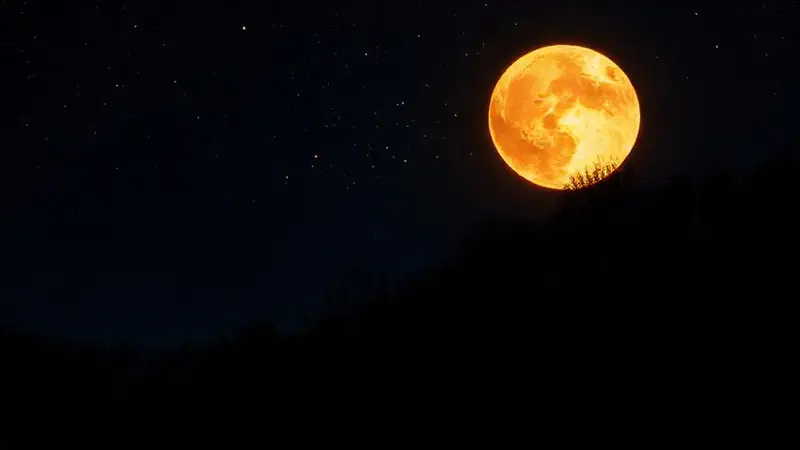 Luz de luna y estrellas en la noche