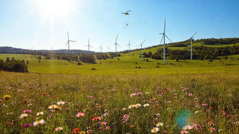Parque eólico moderno en armonía con la naturaleza