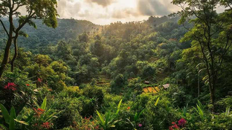 Bosque verde con vida diversa y sostenibilidad
