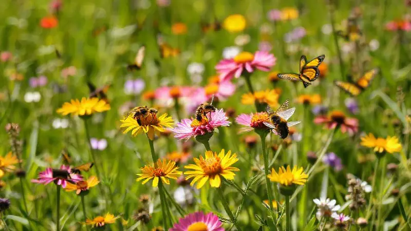 Abejas polinizando flores en un ecosistema vibrante