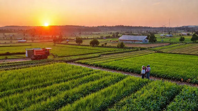 Paisaje rural sostenible con agricultores y esperanza