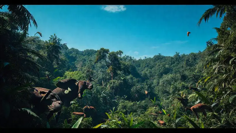 Selva vibrante con especies en peligro