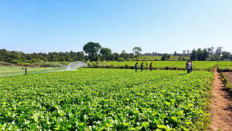 Campo verde con cultivos y tecnología sostenible