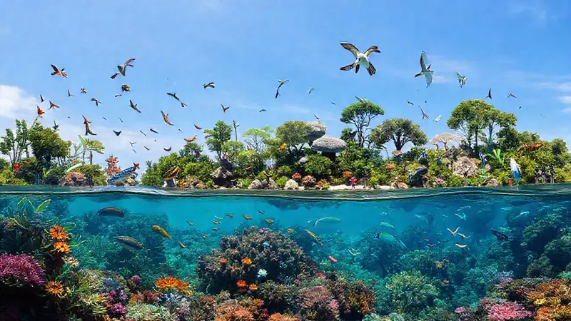 Ecosistemas diversos y saludables con rica biodiversidad