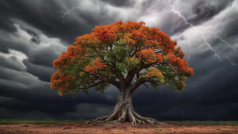 Un árbol firme simboliza fuerza y supervivencia