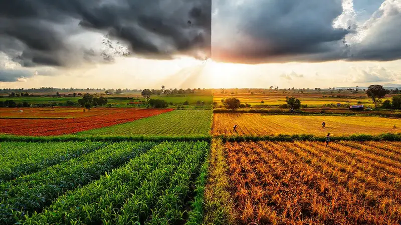Paisaje agrícola vibrante con contrastes climáticos