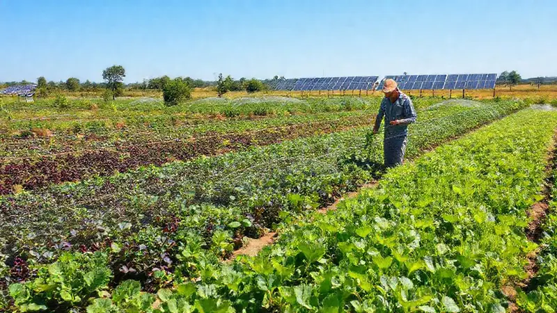 Paisaje agrícola sostenible con cultivos diversos
