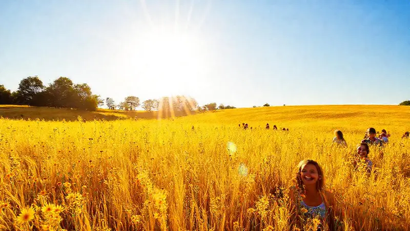 Un día soleado y alegre en el campo