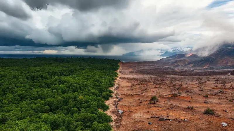 Naturaleza en crisis: contrastes extremos y urgentes