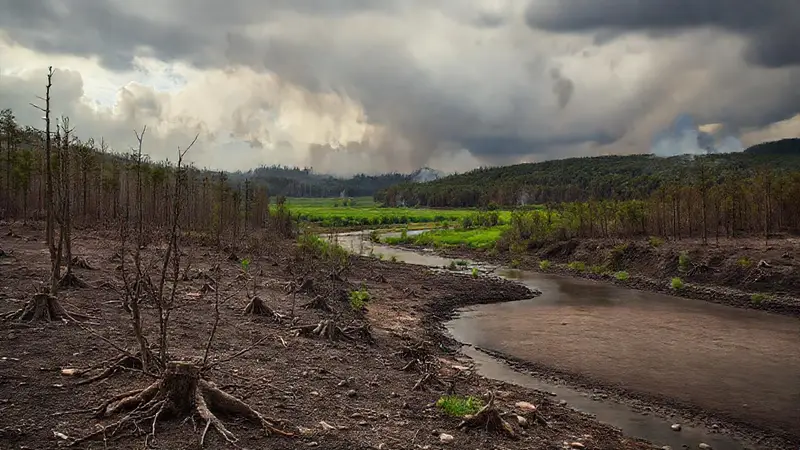 Paisaje árido con humo y naturaleza distante