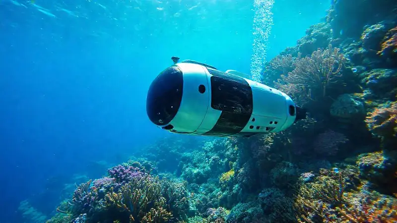 Robot submarino explora colorido arrecife coralino