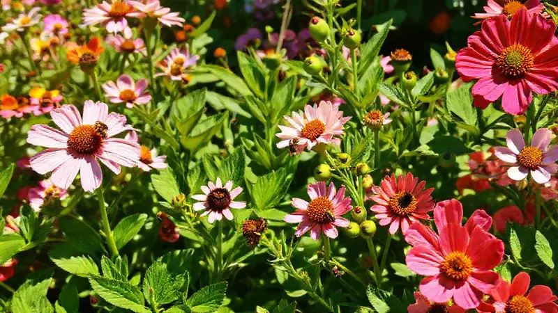 Jardín floreciente con flores, abejas y sol