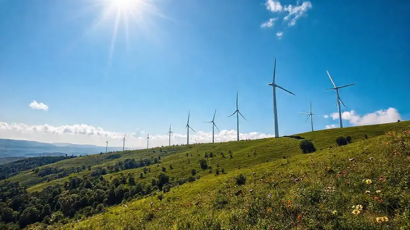 Energía verde en armonía con la naturaleza