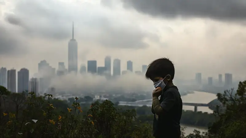 Contaminación visible: smog