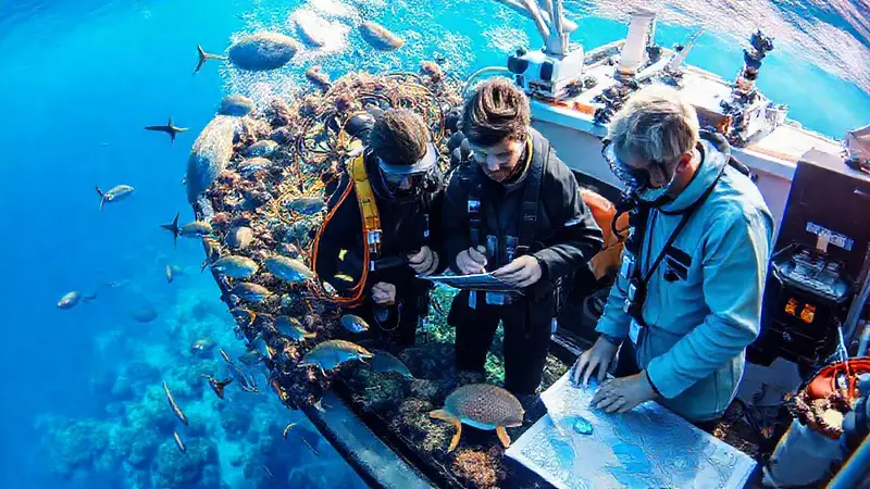 Científicos exploran la vida marina y ecosistemas