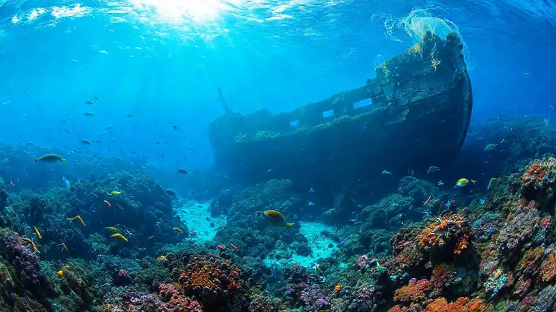 Escena marina vibrante con vida diversa