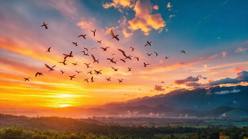 Pájaros de colores vuelan sobre paisajes verdes