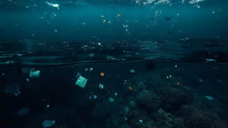 Océanos contaminados afectan la vida marina