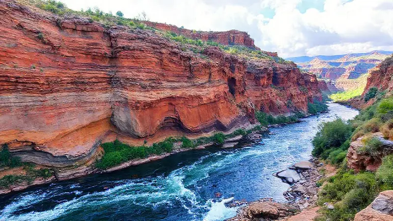 Cliffes erosionados, agua, sedimentos y vegetación