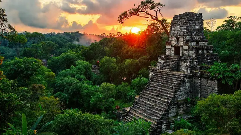Ruinas mayas de Tikal en densa jungla