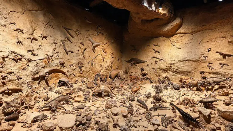 Paisaje fósil de Solnhofen con vida antigua